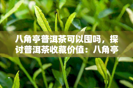 八角亭普洱茶可以囤吗，探讨普洱茶收藏价值：八角亭普洱茶是否值得长期囤积？