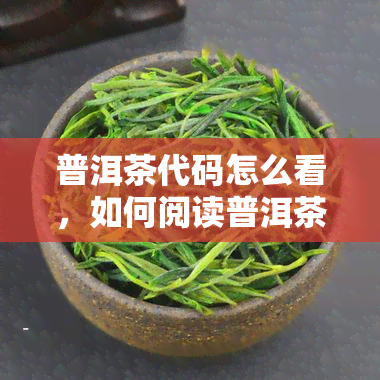 普洱茶代码怎么看，如何阅读普洱茶的代码？详细解析步骤