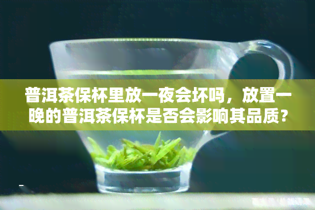 普洱茶保杯里放一夜会坏吗，放置一晚的普洱茶保杯是否会影响其品质？