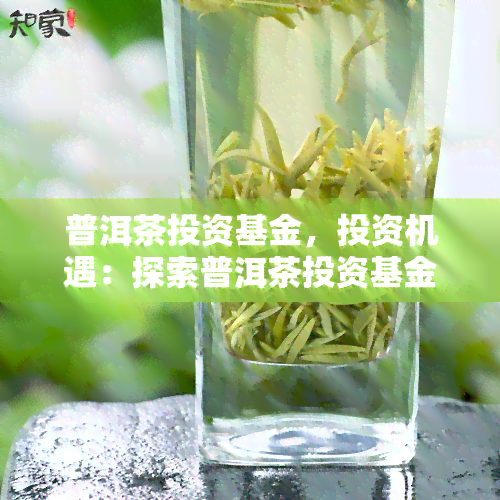 普洱茶投资基金，投资机遇：探索普洱茶投资基金的潜力与前景