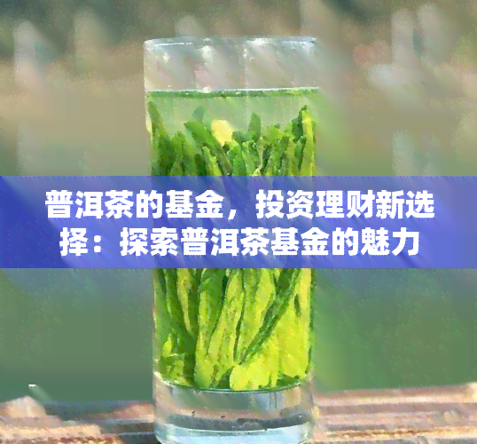 普洱茶的基金，投资理财新选择：探索普洱茶基金的魅力