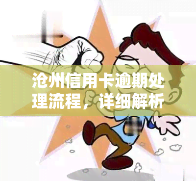 沧州信用卡逾期处理流程，详细解析：沧州信用卡逾期的处理流程