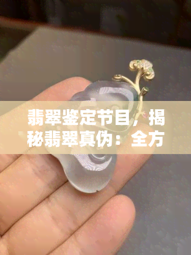 翡翠鉴定节目，揭秘翡翠真伪：全方位解析翡翠鉴定节目