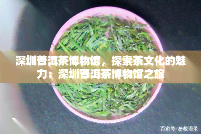 深圳普洱茶博物馆，探索茶文化的魅力：深圳普洱茶博物馆之旅