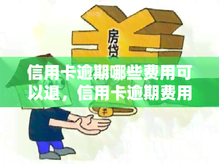 信用卡逾期哪些费用可以退，信用卡逾期费用详解：哪些可以申请退款？