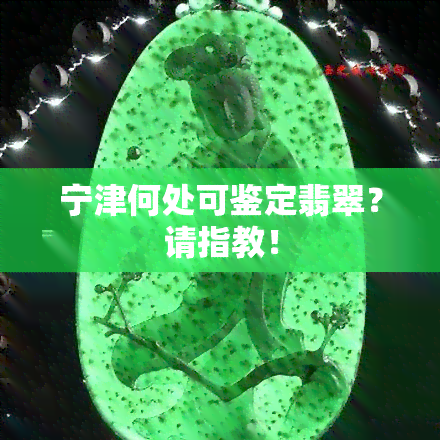 宁津何处可鉴定翡翠？请指教！