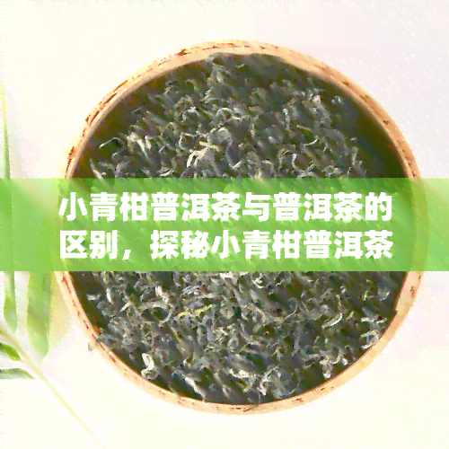 小青柑普洱茶与普洱茶的区别，探秘小青柑普洱茶与普通普洱茶的异同之处