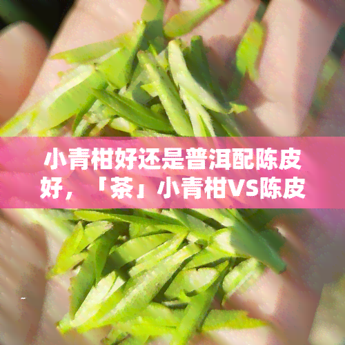 小青柑好还是普洱配陈皮好，「茶」小青柑VS陈皮普洱，哪款才是你的更爱？