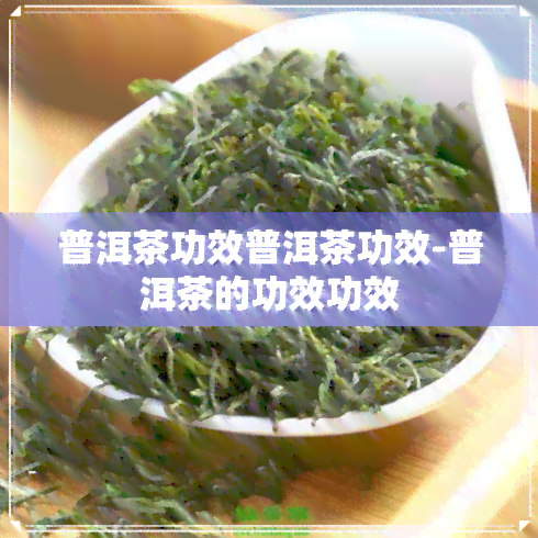 普洱茶功效普洱茶功效-普洱茶的功效功效