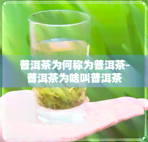 普洱茶为何称为普洱茶-普洱茶为啥叫普洱茶