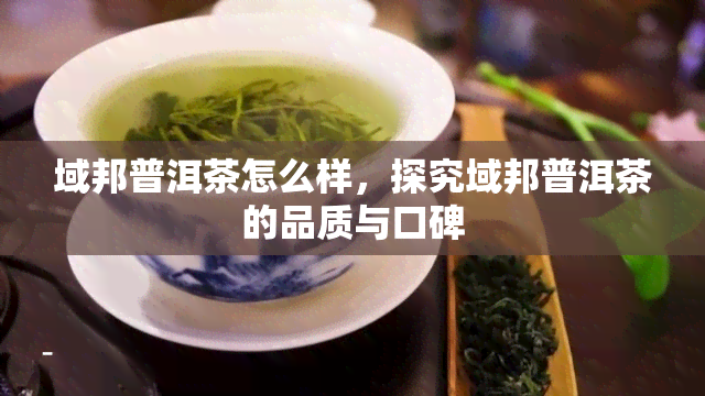 域邦普洱茶怎么样，探究域邦普洱茶的品质与口碑