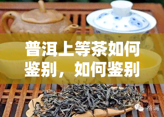 普洱上等茶如何鉴别，如何鉴别普洱上等茶叶？看这里！