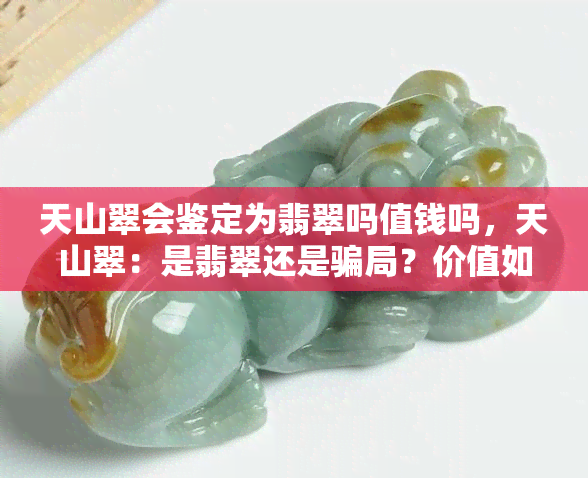 天山翠会鉴定为翡翠吗值钱吗，天山翠：是翡翠还是骗局？价值如何？