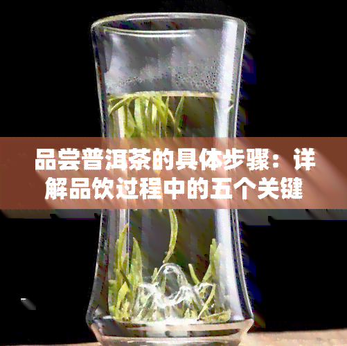 品尝普洱茶的具体步骤：详解品饮过程中的五个关键步骤