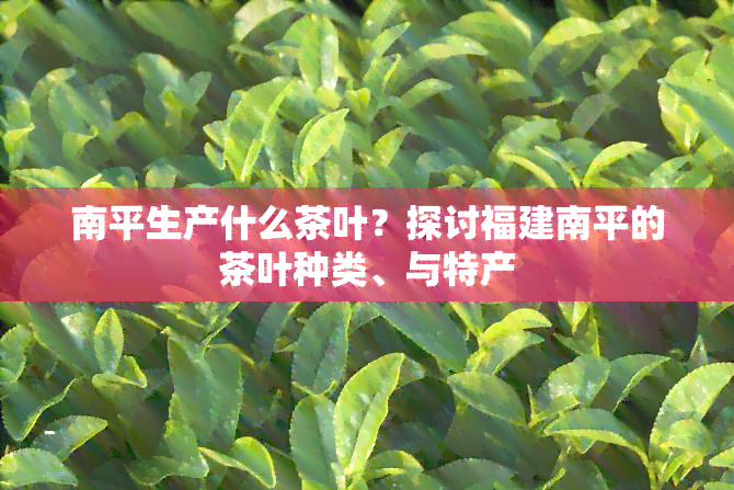 南平生产什么茶叶？探讨福建南平的茶叶种类、与特产