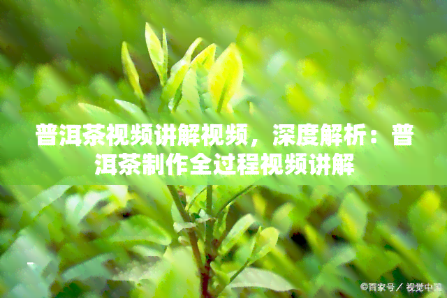 普洱茶视频讲解视频，深度解析：普洱茶制作全过程视频讲解