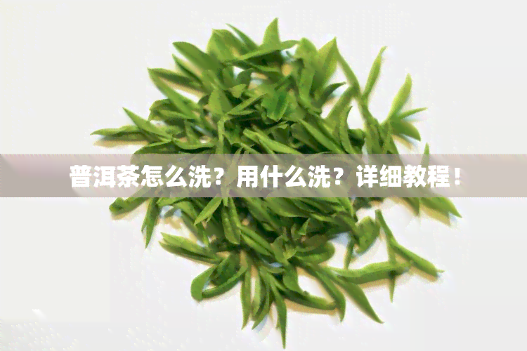 普洱茶怎么洗？用什么洗？详细教程！