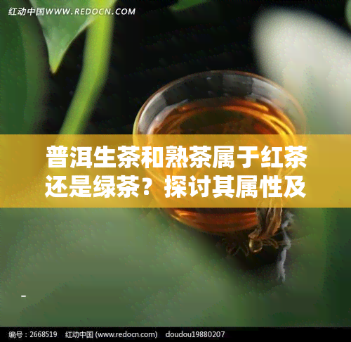 普洱生茶和熟茶属于红茶还是绿茶？探讨其属性及分类归属