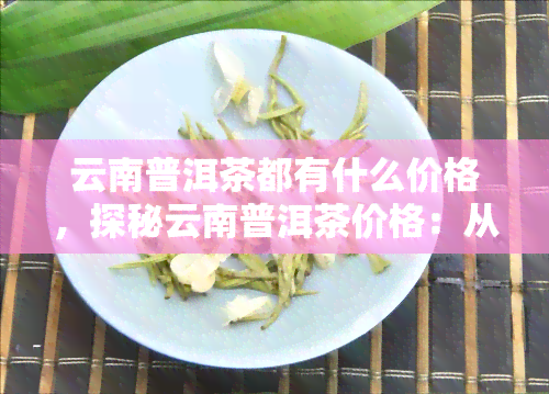 云南普洱茶都有什么价格，探秘云南普洱茶价格：从入门级到高端品的全解析