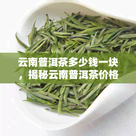 云南普洱茶多少钱一块，揭秘云南普洱茶价格：一块茶饼价值几何？