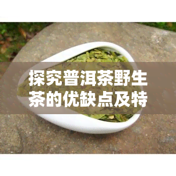 探究普洱茶野生茶的优缺点及特点