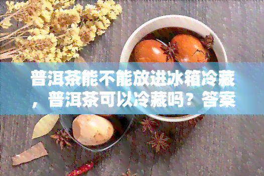 普洱茶能不能放进冰箱冷藏，普洱茶可以冷藏吗？答案在这里！