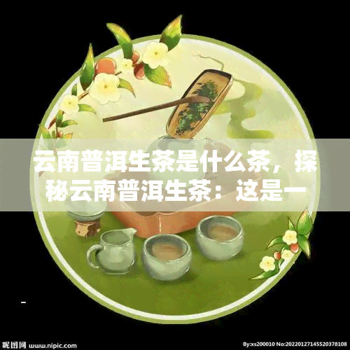 云南普洱生茶是什么茶，探秘云南普洱生茶：这是一种怎样的茶叶？