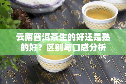 云南普洱茶生的好还是熟的好？区别与口感分析