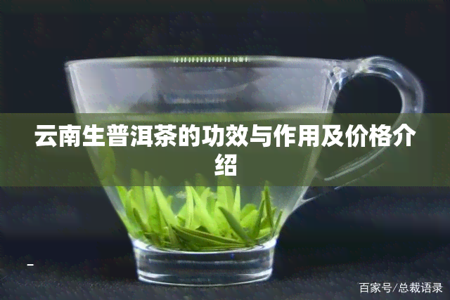 云南生普洱茶的功效与作用及价格介绍