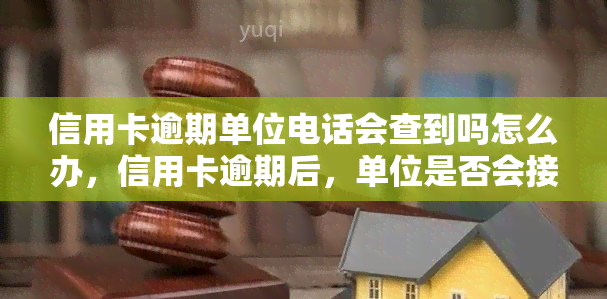 信用卡逾期单位电话会查到吗怎么办，信用卡逾期后，单位是否会接到催款电话？解决方案大揭秘！