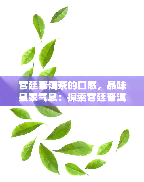 宫廷普洱茶的口感，品味皇家气息：探索宫廷普洱茶的独特口感