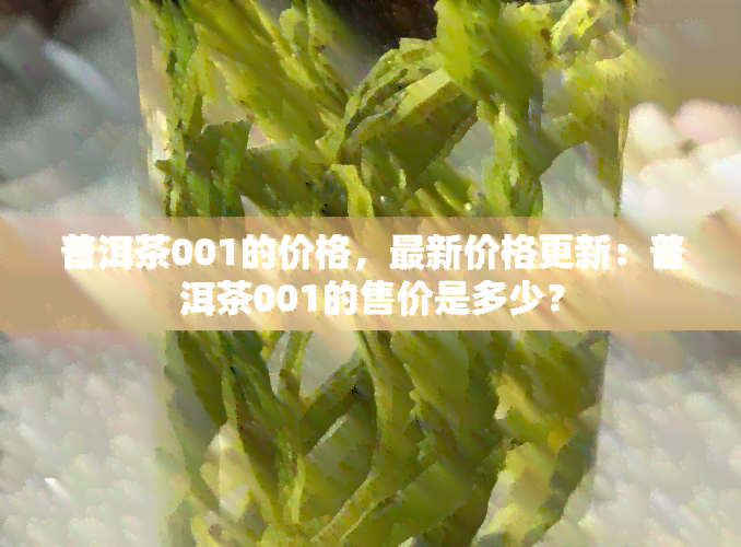 普洱茶001的价格，最新价格更新：普洱茶001的售价是多少？