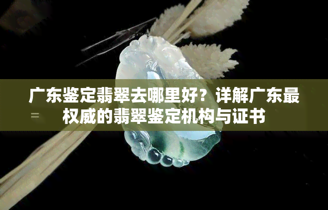 广东鉴定翡翠去哪里好？详解广东最权威的翡翠鉴定机构与证书