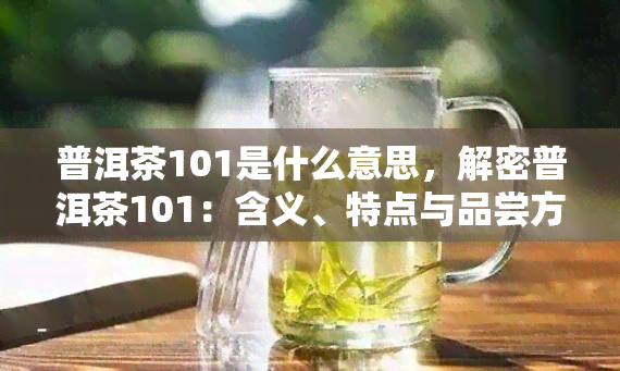 普洱茶101是什么意思，解密普洱茶101：含义、特点与品尝方法