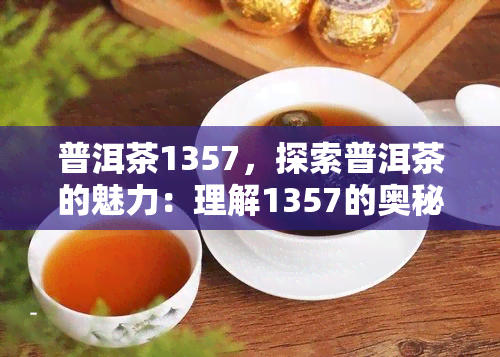 普洱茶1357，探索普洱茶的魅力：理解1357的奥秘