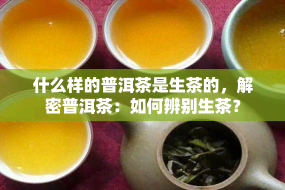 什么样的普洱茶是生茶的，解密普洱茶：如何辨别生茶？