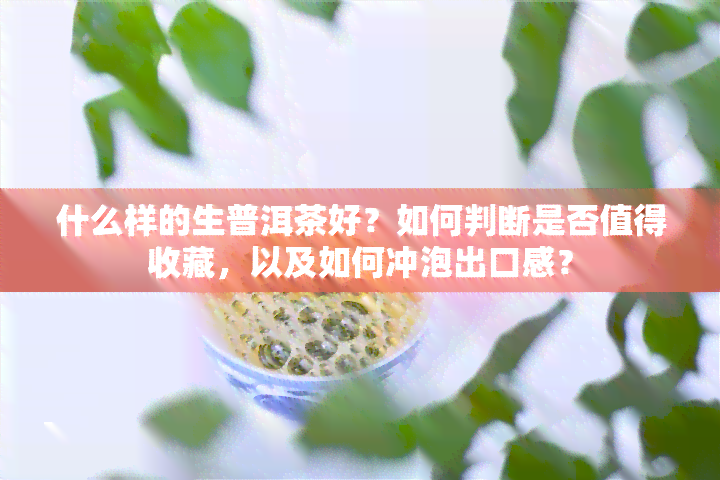 什么样的生普洱茶好？如何判断是否值得收藏，以及如何冲泡出口感？