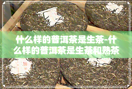 什么样的普洱茶是生茶-什么样的普洱茶是生茶和熟茶