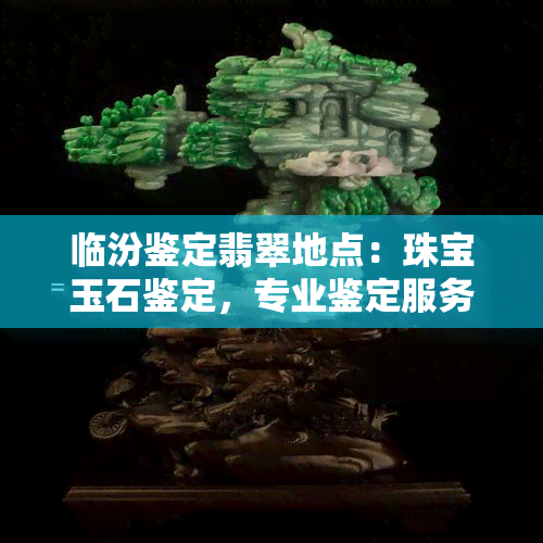 临汾鉴定翡翠地点：珠宝玉石鉴定，专业鉴定服务，方便快捷！