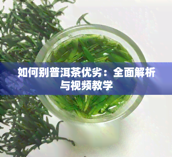 如何别普洱茶优劣：全面解析与视频教学