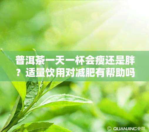 普洱茶一天一杯会瘦还是胖？适量饮用对减肥有帮助吗？