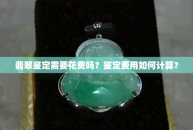 翡翠鉴定需要花费吗？鉴定费用如何计算？