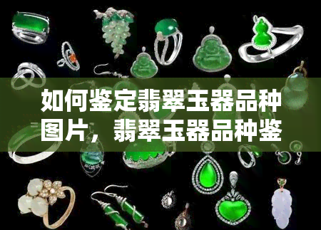 如何鉴定翡翠玉器品种图片，翡翠玉器品种鉴定：通过图片辨识真伪的技巧