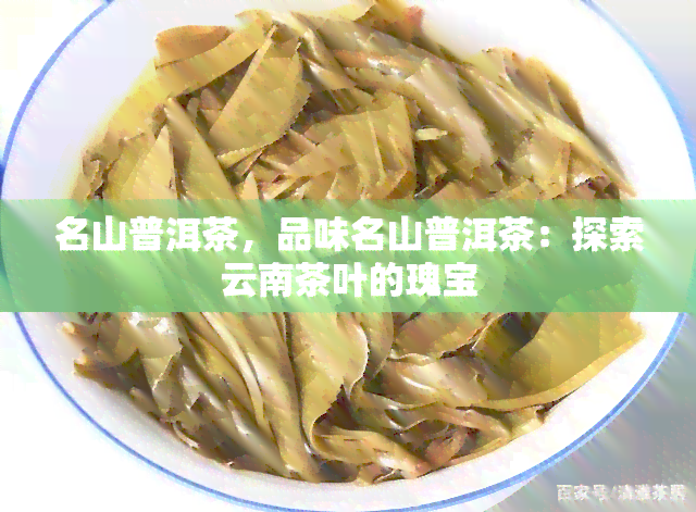 名山普洱茶，品味名山普洱茶：探索云南茶叶的瑰宝