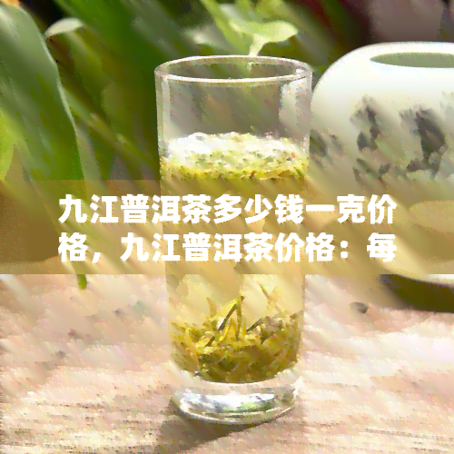 九江普洱茶多少钱一克价格，九江普洱茶价格：每克多少元？