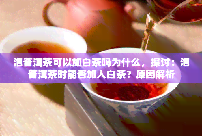 泡普洱茶可以加白茶吗为什么，探讨：泡普洱茶时能否加入白茶？原因解析