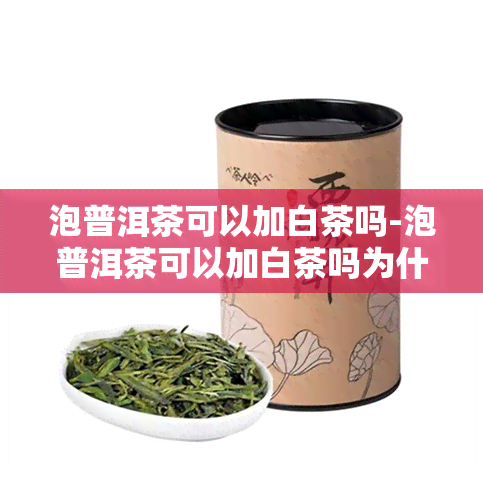 泡普洱茶可以加白茶吗-泡普洱茶可以加白茶吗为什么