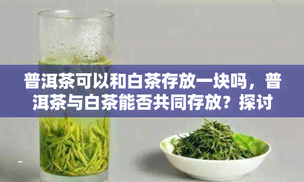 普洱茶可以和白茶存放一块吗，普洱茶与白茶能否共同存放？探讨茶叶存的注意事