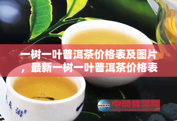 一树一叶普洱茶价格表及图片，最新一树一叶普洱茶价格表及高清图片，让您一目了然！