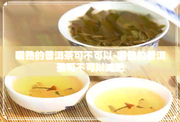 喝熟的普洱茶可不可以-喝熟的普洱茶可不可以减肥